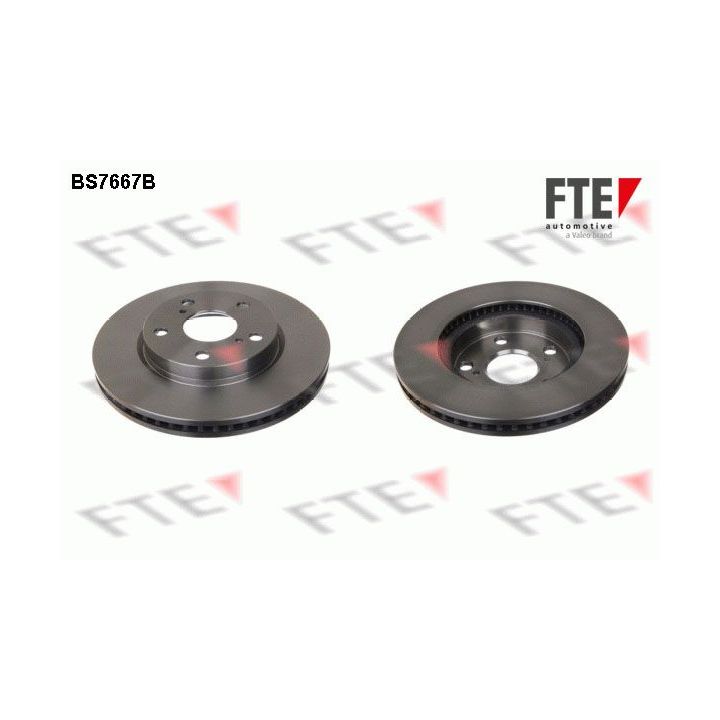 Stabdžių diskas FTE 9082312