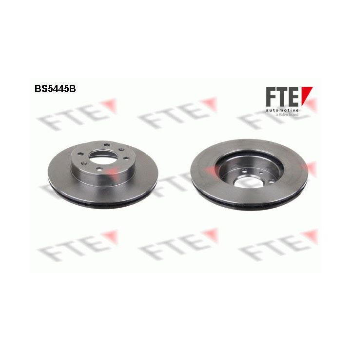 Stabdžių diskas FTE 9082388