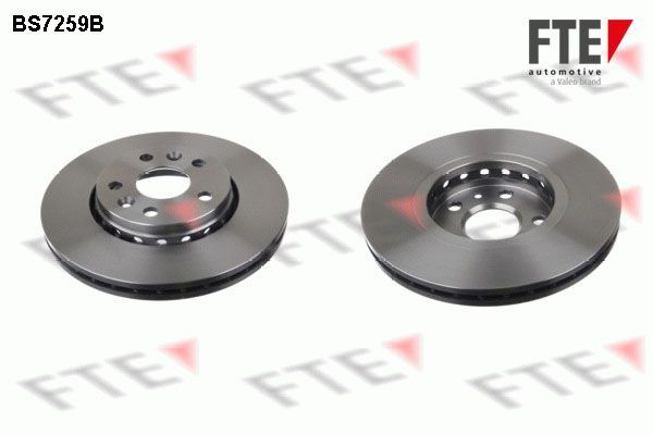 Stabdžių diskas FTE 9082402