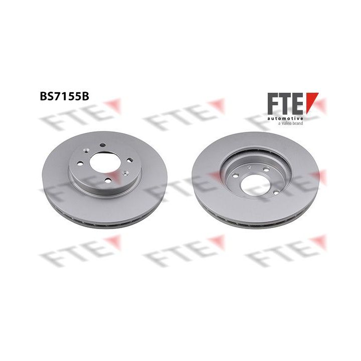 Stabdžių diskas FTE 9082416