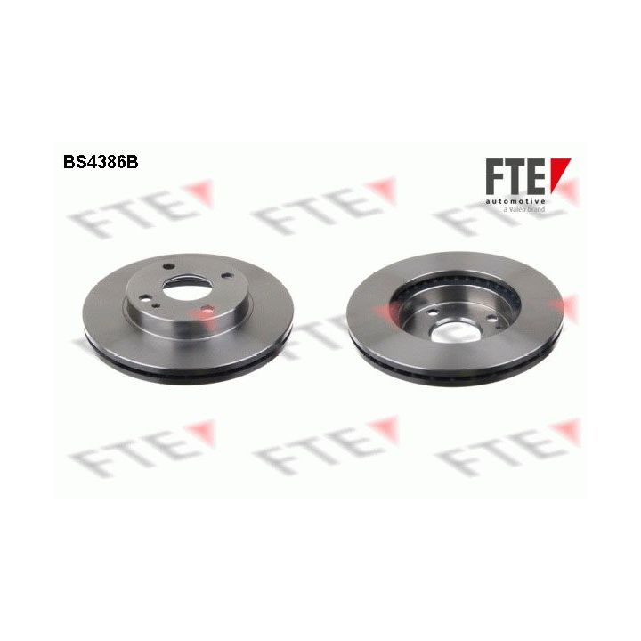 Stabdžių diskas FTE 9082475