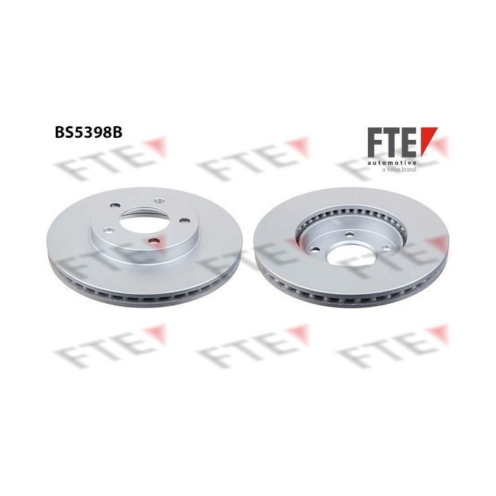 Stabdžių diskas FTE 9082495