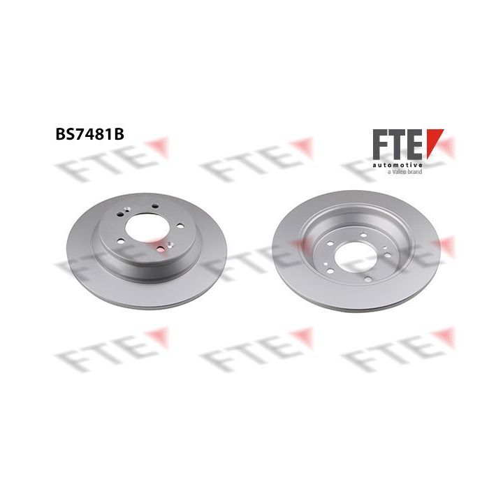 Stabdžių diskas FTE 9082515