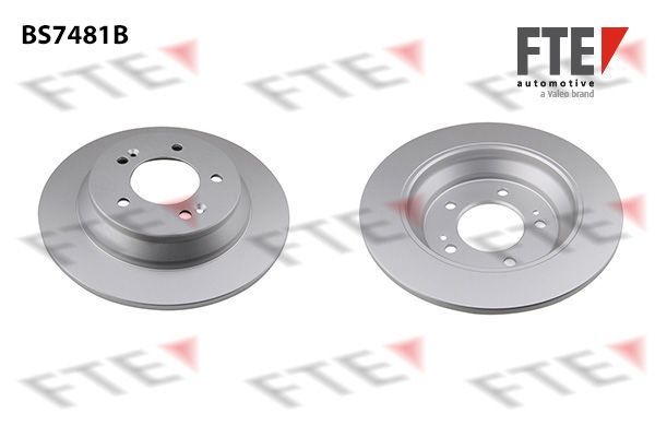 Stabdžių diskas FTE 9082515