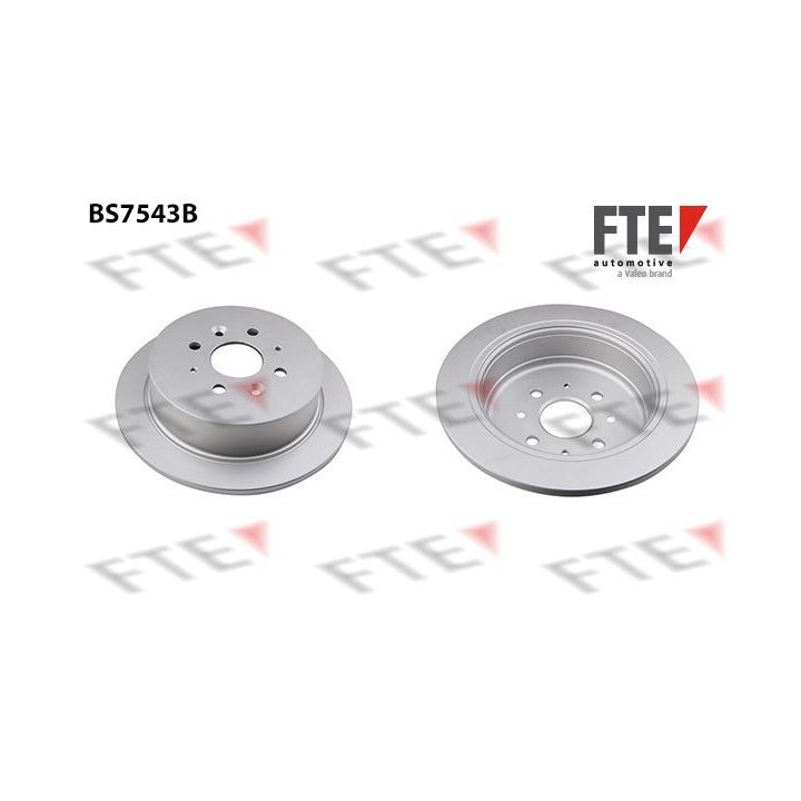 Stabdžių diskas FTE 9082516