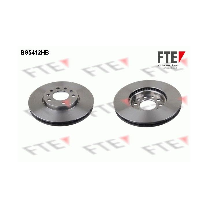 Stabdžių diskas FTE 9082566