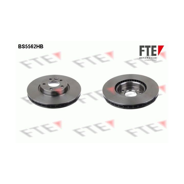 Stabdžių diskas FTE 9082582