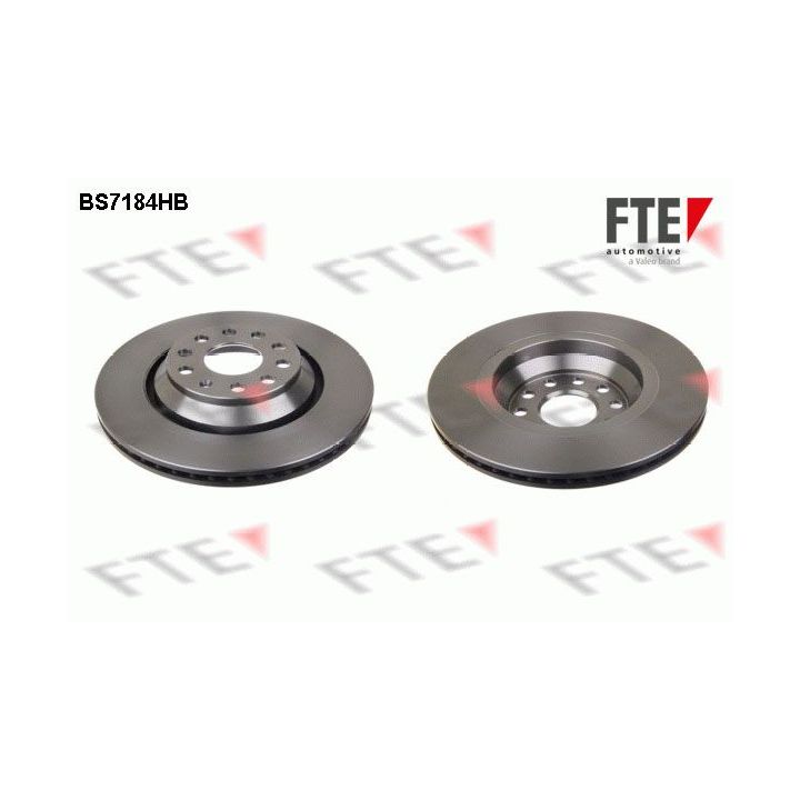 Stabdžių diskas FTE 9082592