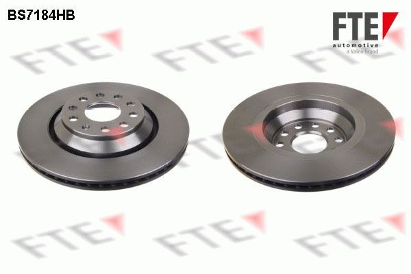 Stabdžių diskas FTE 9082592