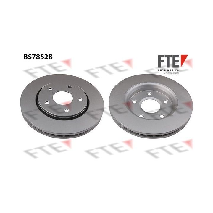 Stabdžių diskas FTE 9082617