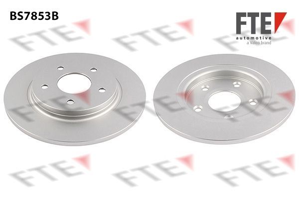 Stabdžių diskas FTE 9082618