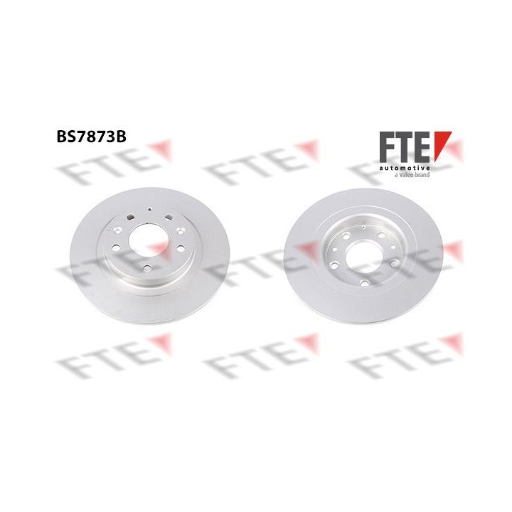 Stabdžių diskas FTE 9082630