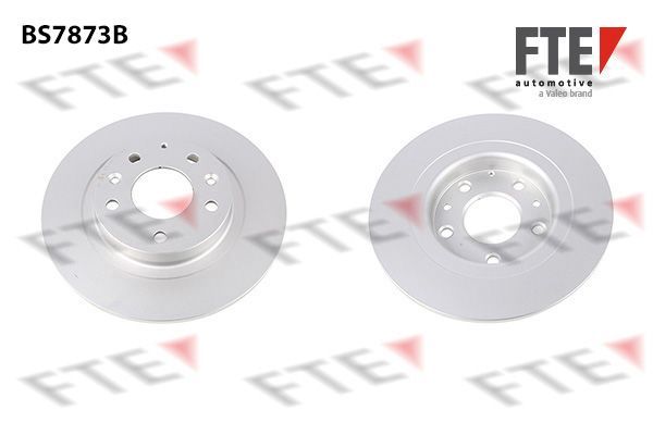 Stabdžių diskas FTE 9082630