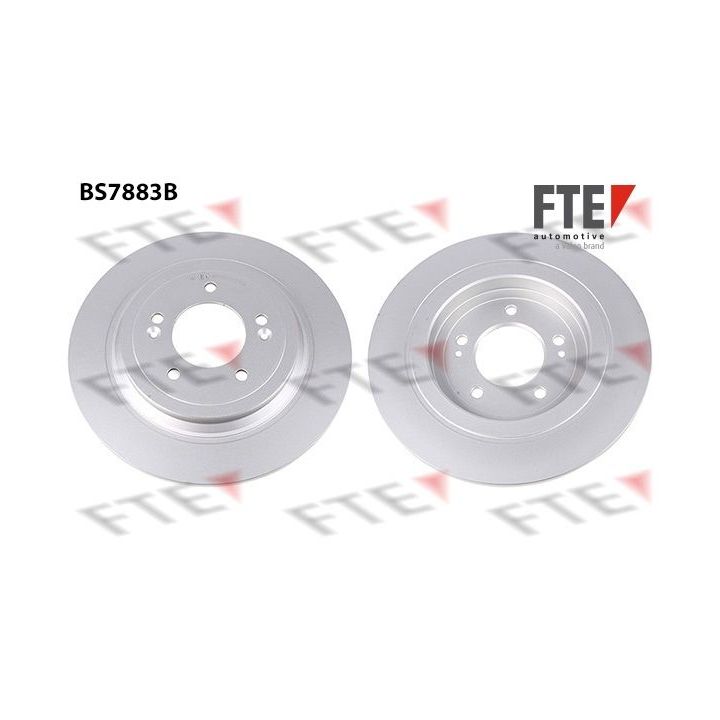 Stabdžių diskas FTE 9082634