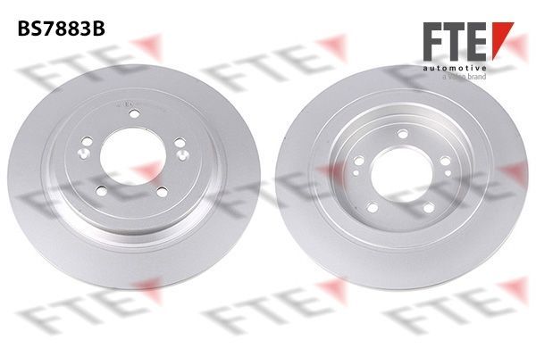 Stabdžių diskas FTE 9082634