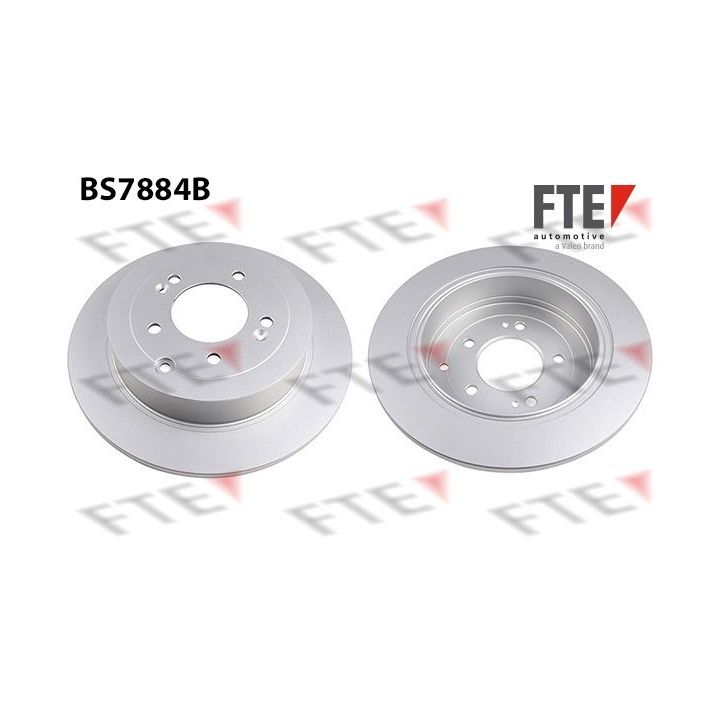 Stabdžių diskas FTE 9082635