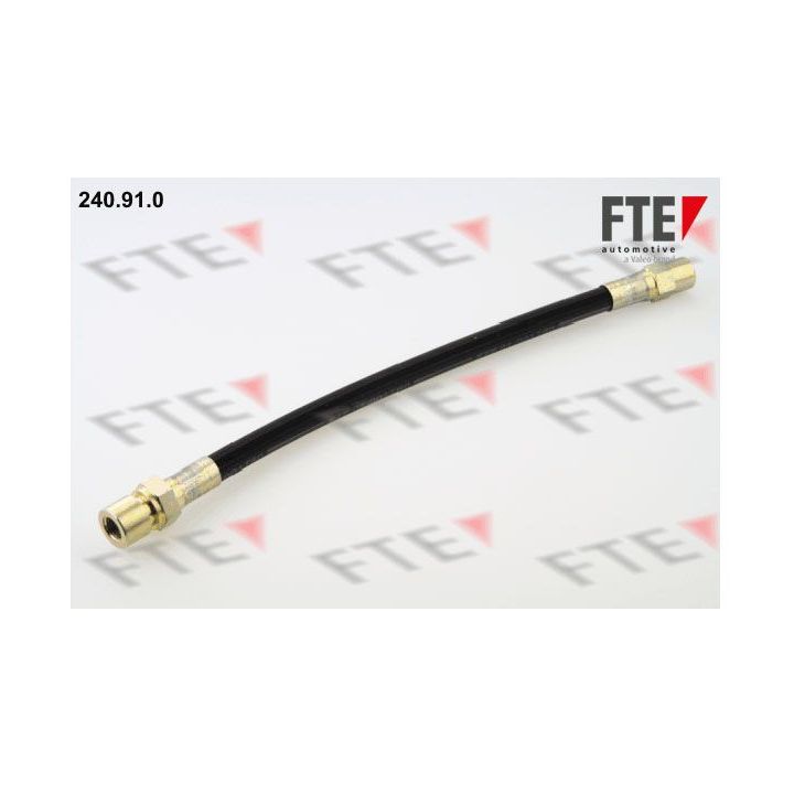 Stabdžių žarnelė FTE 9240100