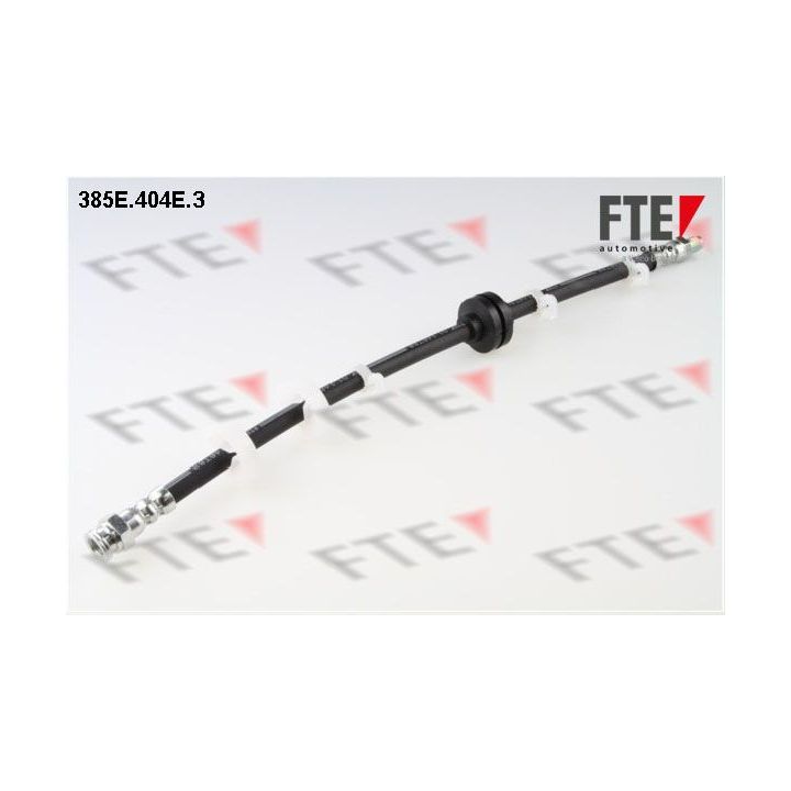 Stabdžių žarnelė FTE 9240231