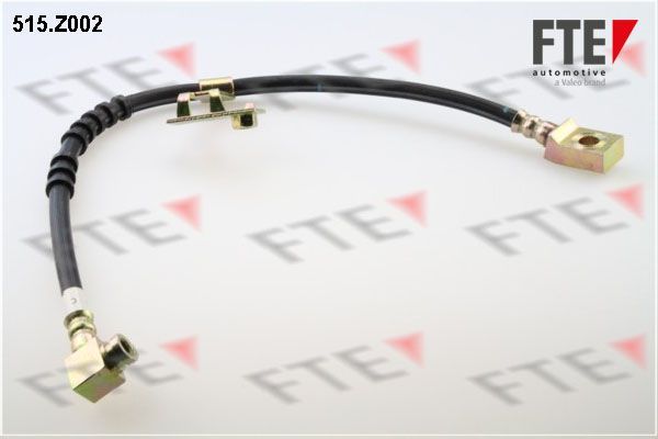 Stabdžių žarnelė FTE 9240365