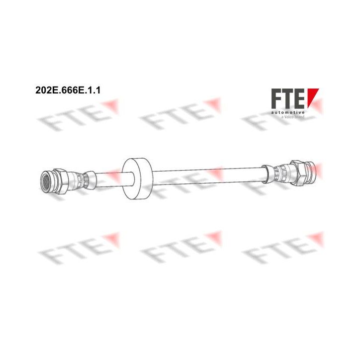 Stabdžių žarnelė FTE 9240376
