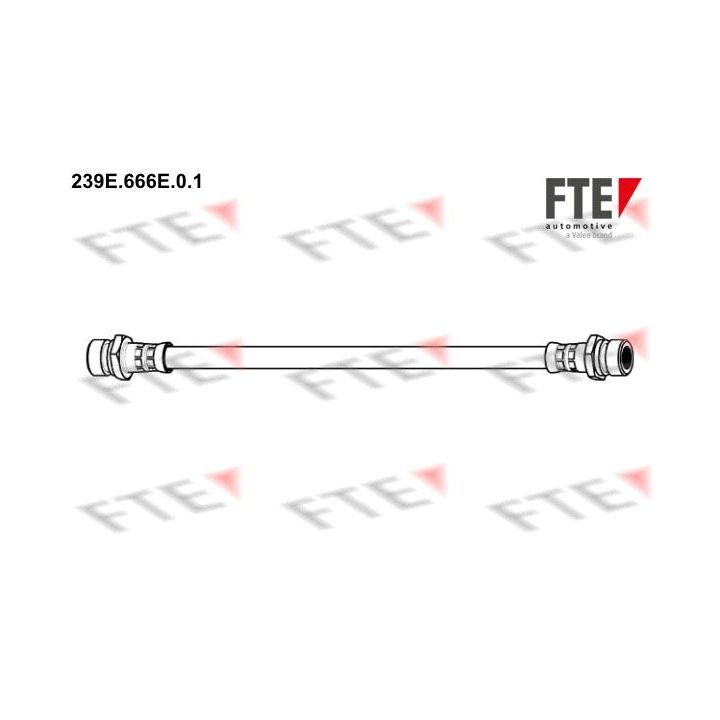 Stabdžių žarnelė FTE 9240401