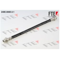 Stabdžių žarnelė FTE 9240408