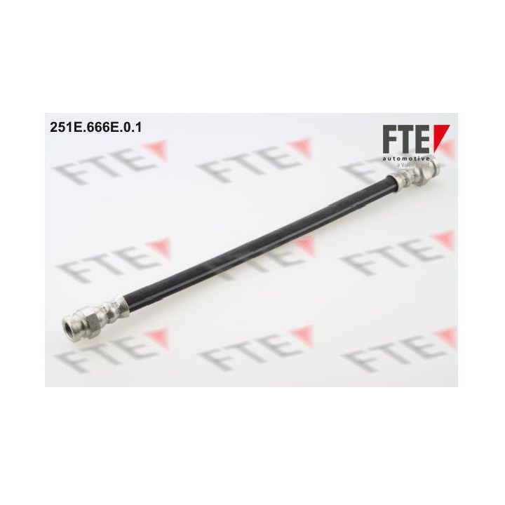 Stabdžių žarnelė FTE 9240410