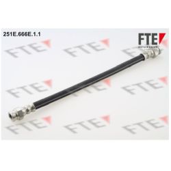 Stabdžių žarnelė FTE 9240411