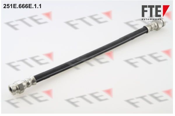 Stabdžių žarnelė FTE 9240411