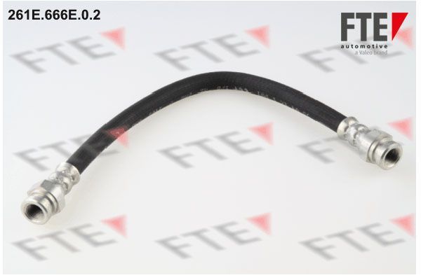 Stabdžių žarnelė FTE 9240420