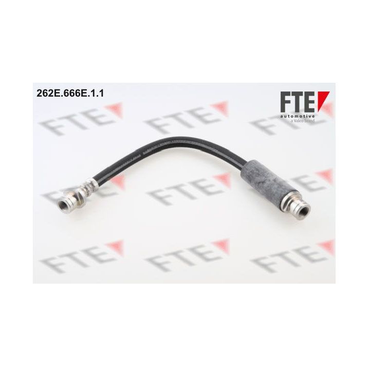 Stabdžių žarnelė FTE 9240423