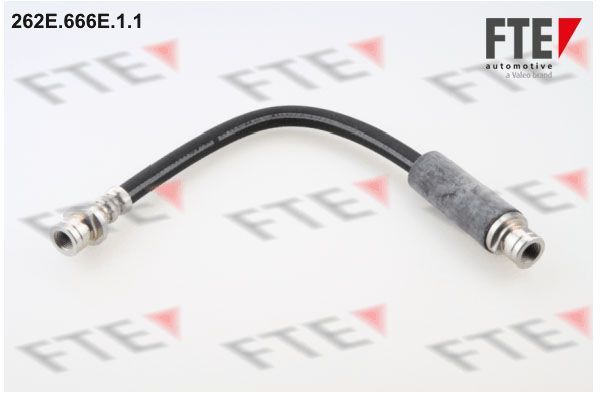 Stabdžių žarnelė FTE 9240423