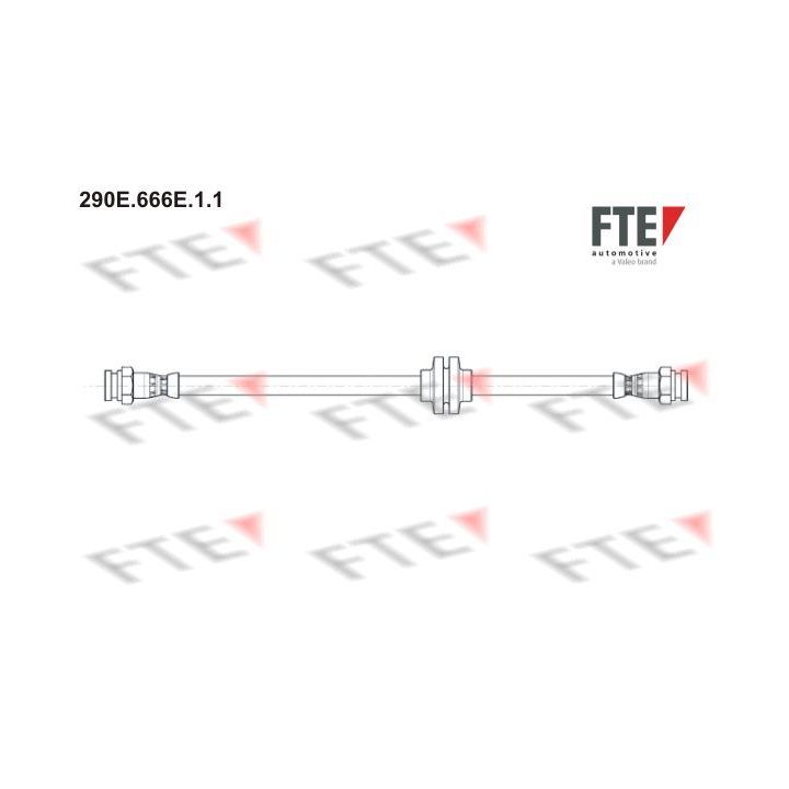 Stabdžių žarnelė FTE 9240456