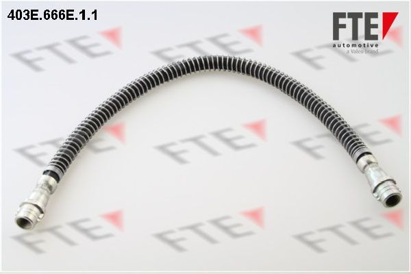 Stabdžių žarnelė FTE 9240569