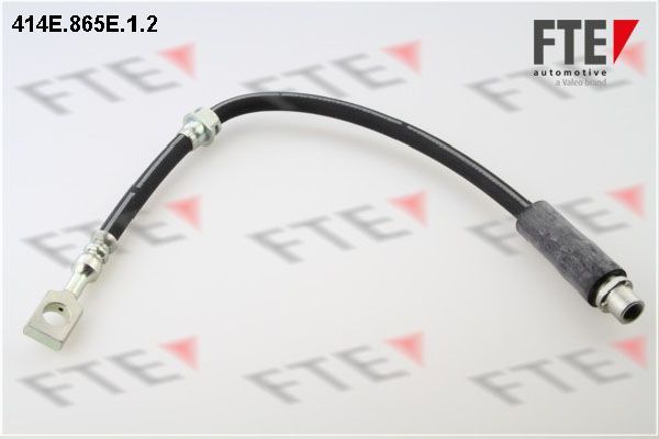 Stabdžių žarnelė FTE 9240592