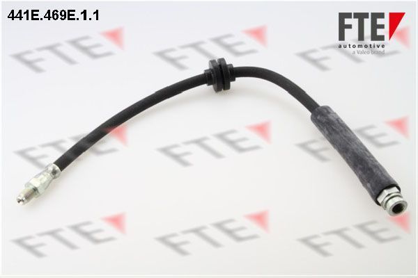 Stabdžių žarnelė FTE 9240634