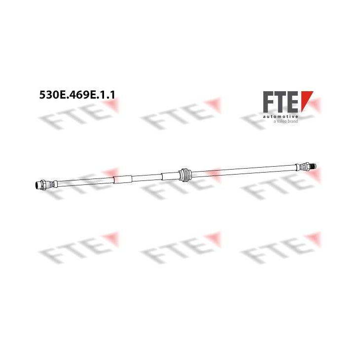 Stabdžių žarnelė FTE 9240754