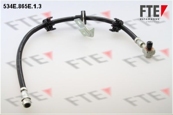 Stabdžių žarnelė FTE 9240759