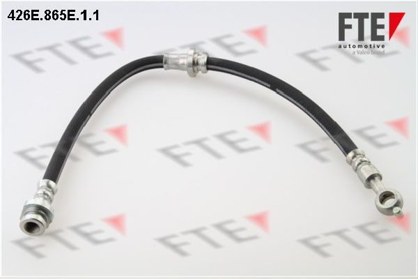 Stabdžių žarnelė FTE 9240861