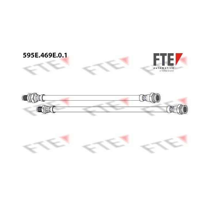 Stabdžių žarnelė FTE 9240984