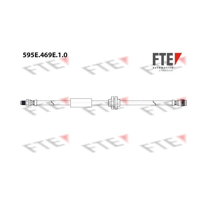 Stabdžių žarnelė FTE 9240985