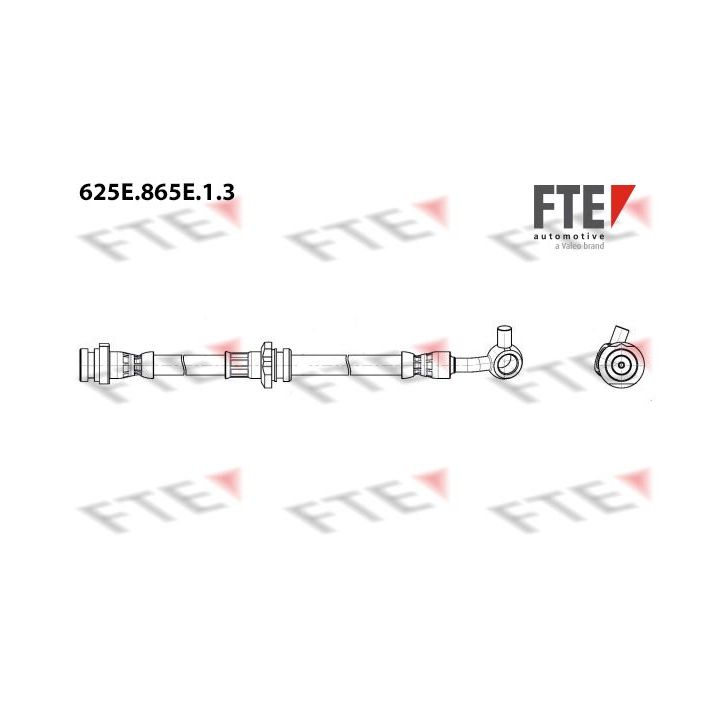 Stabdžių žarnelė FTE 9240988