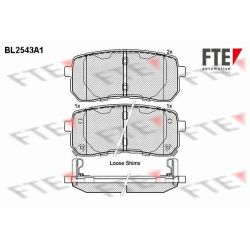 Stabdžių trinkelių rinkinys, diskinis stabdys FTE 9010794