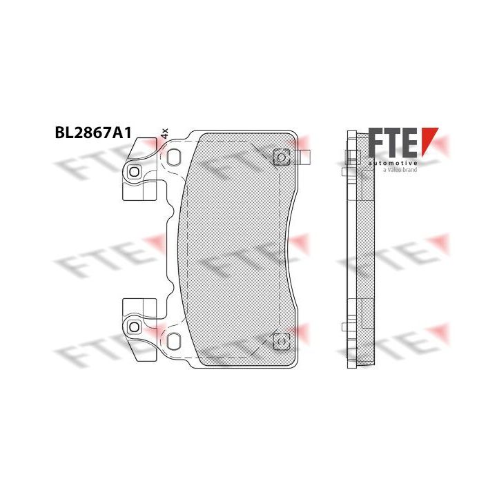 Stabdžių trinkelių rinkinys, diskinis stabdys FTE 9011107