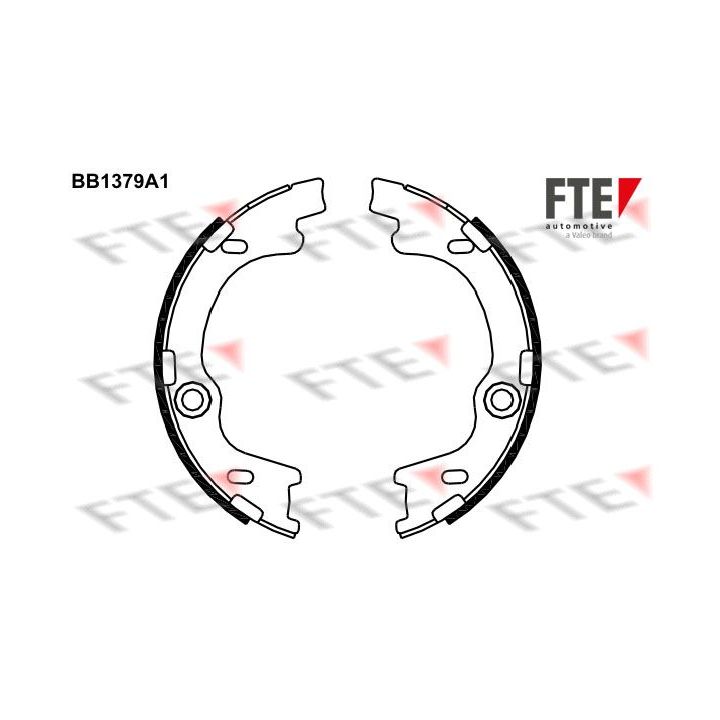 Stabdžių trinkelių komplektas, stovėjimo stabdis FTE 9100123