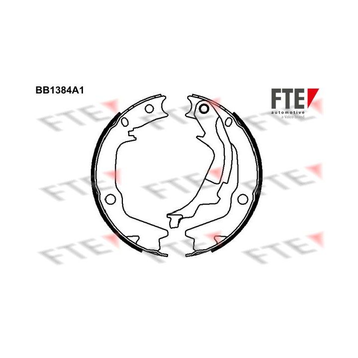 Stabdžių trinkelių komplektas, stovėjimo stabdis FTE 9100126