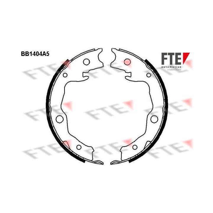 Stabdžių trinkelių komplektas, stovėjimo stabdis FTE 9100138