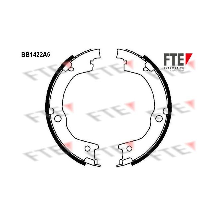 Stabdžių trinkelių komplektas, stovėjimo stabdis FTE 9100150