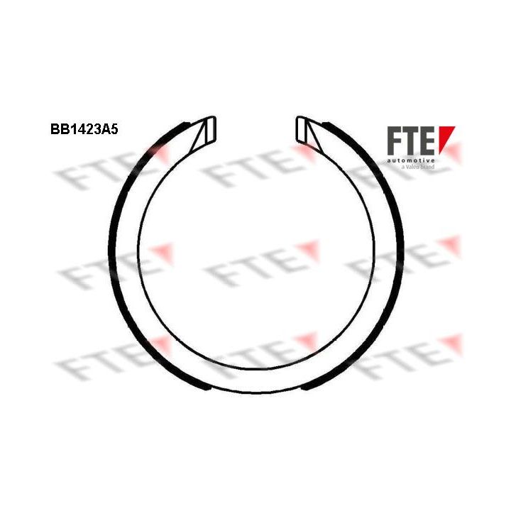 Stabdžių trinkelių komplektas, stovėjimo stabdis FTE 9100151