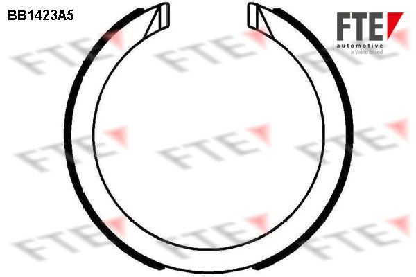 Stabdžių trinkelių komplektas, stovėjimo stabdis FTE 9100151